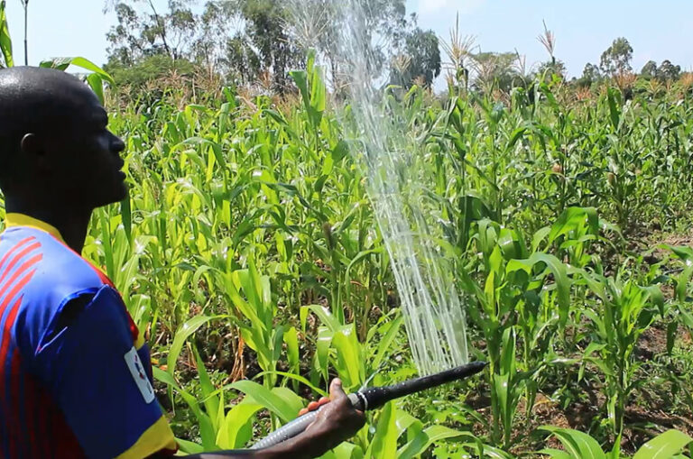 Submersible pumps Why use one and how to choose one Impact Pumps